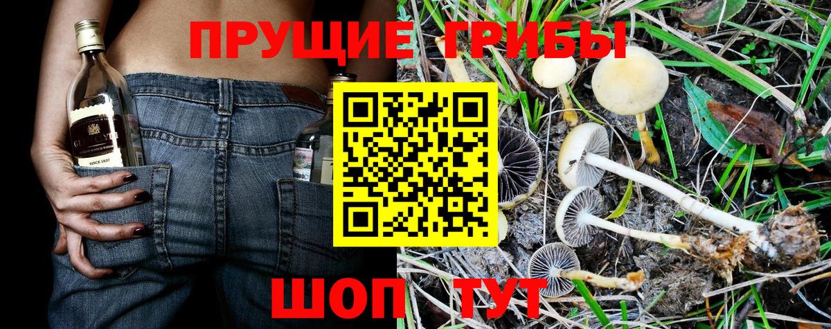 Псилоцибиновые грибы прущие грибы Видное